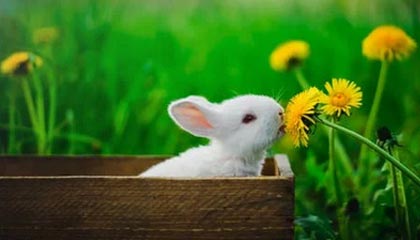 男子吃饭顺走店主手机，找人“解锁”找到了警察头上