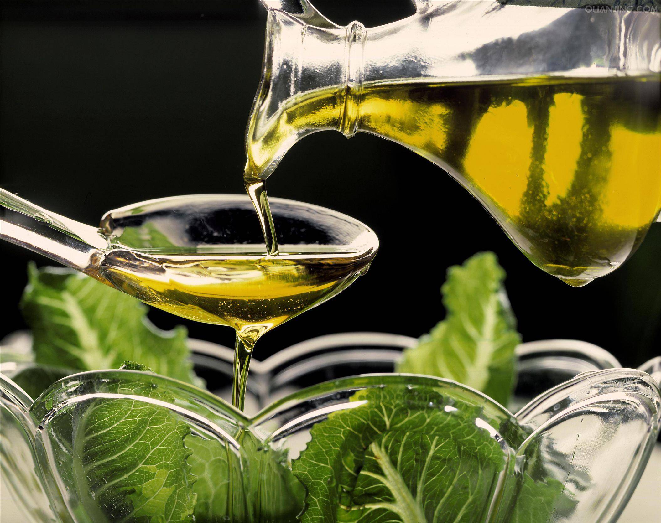 元宝枫的价格行情如何